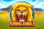 RUNNING ANIMALS?v=6.0